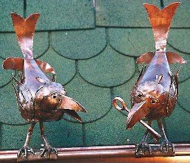 Acuacanal ave ornamental